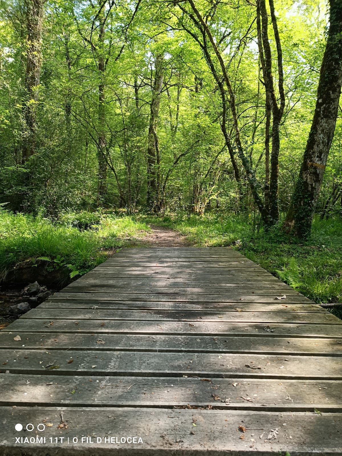 Circuits de randonnée