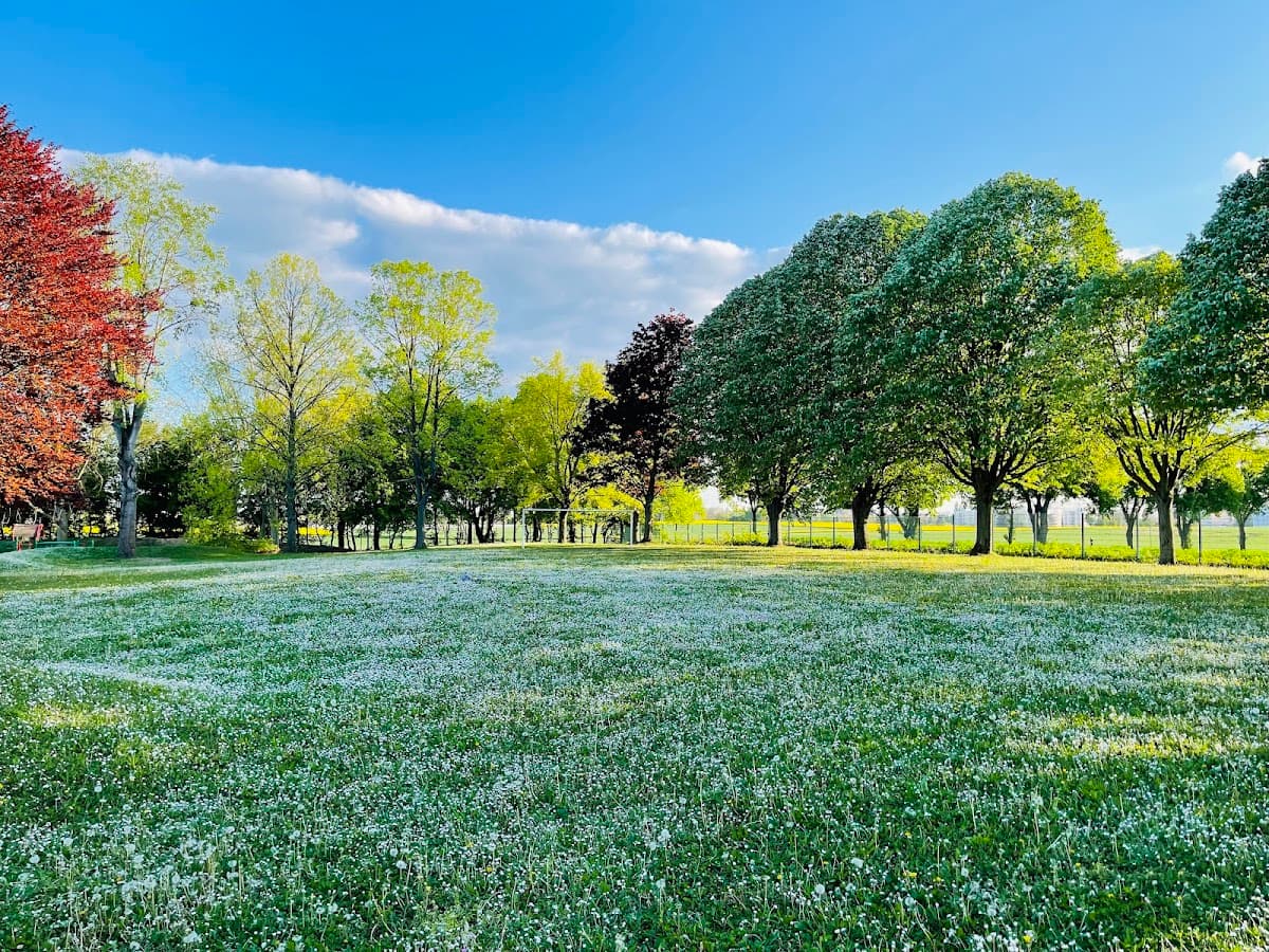 Terrain des Hirondelles