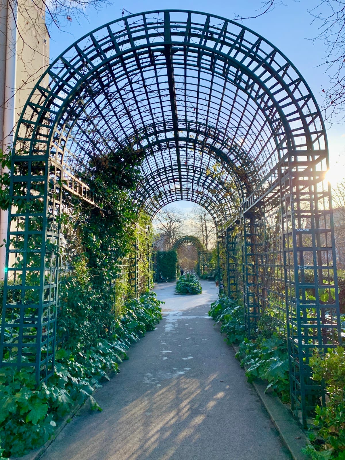 COULEE VERTE RENE DUMONT