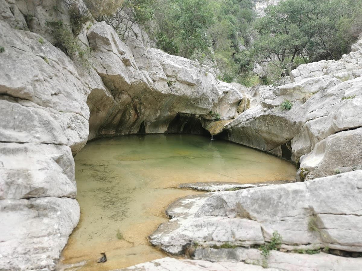 LES GORGES DU DESTEL