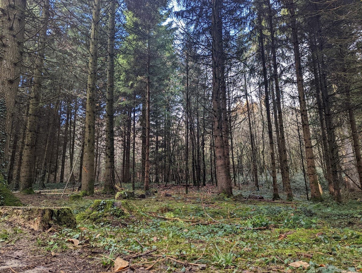 TOUR DE LA MONTAGNE D'AGE